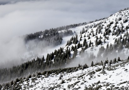 Artikkel med minimal informasjon